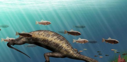 Bizarre Fossil hints about Ocean’s first vegetarian reptile? Ocean's first vegetarian reptile