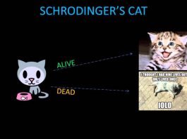 Schrodinger's Cat
