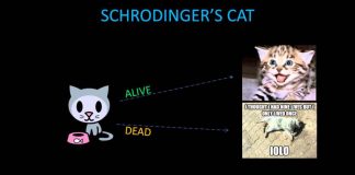 Schrodinger's Cat