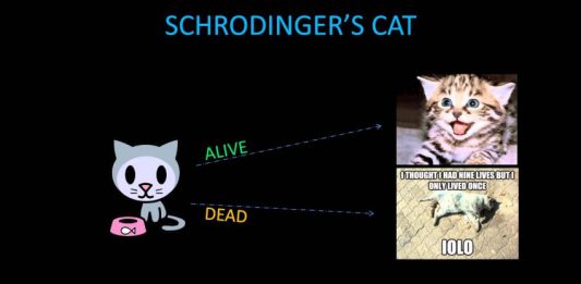 Schrodinger's Cat