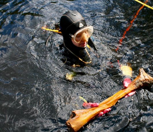 Ancient Tools and Bones discovered in Florida change America’s prehistoric timeline