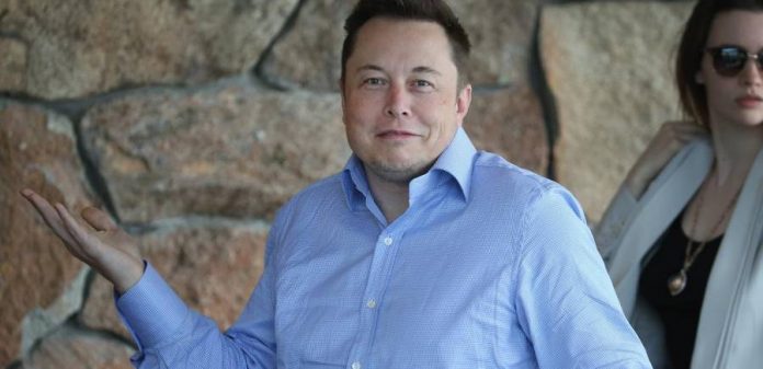 elon-musk-did-it-tesla-closes-solarcity-deal Elon Musk smiles at the camera.