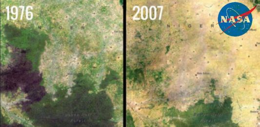 Baban Rafi Deforestation, Niger satellite image.