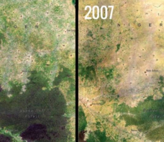 Baban Rafi Deforestation, Niger satellite image.