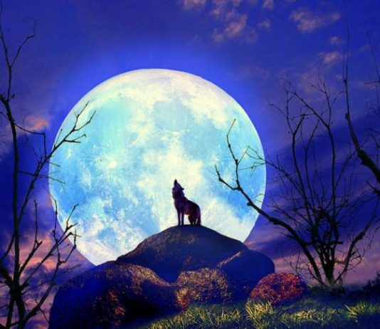 Take great photos of the Full Wolf Moon 2017 Full Moon-Wolf Moon-2017-photographs