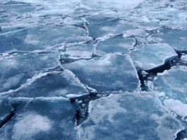 Arctic-sea-ice-volume-Arizona-State-University