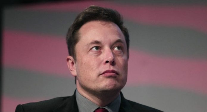 Elon Musk Photograph