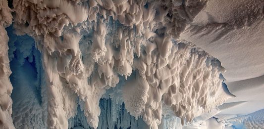 Warm oasis in Antarctic caves may host new species