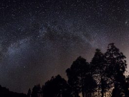 Light pollution: being lit might have dark consequences
