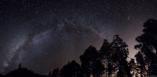 Light pollution: being lit might have dark consequences