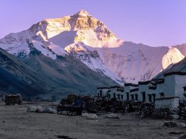 Himalayan study bears abominable results for Yeti enthusiasts