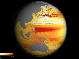 Antarctica satellite data suggests dramatic increase in sea level rise