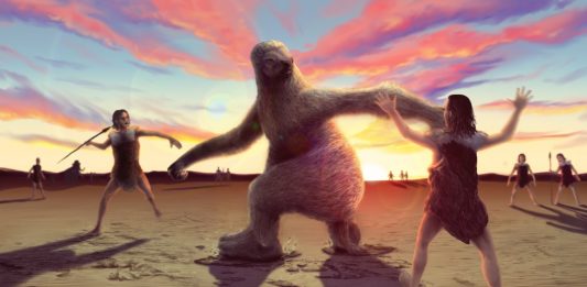 Fossil footprints suggest humans used to hunt giant sloths
