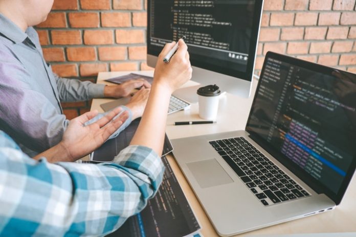 professional-website-developer Professional Website Developer
