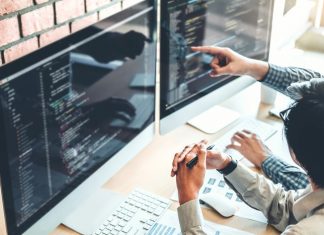 Software Developer Writing Code