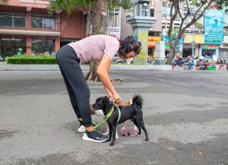 How Can Pet Ownership Improve Your Health?