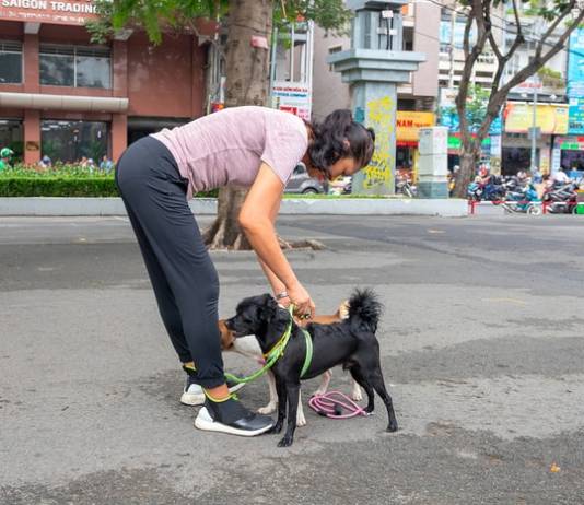 How Can Pet Ownership Improve Your Health?