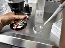 Here Are 4 Myths About Fertility Medication Debunked! Here Are 4 Myths About Fertility Medication Debunked!