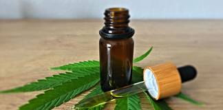 CBD Oil: Expectations Vs. Reality