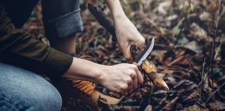 Survival Tips as a Fresher