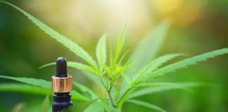 Common CBD Misconceptions You Should Stop Believing