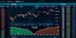 Financial market forecast - presidential election 2020