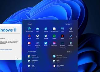 New App Features and Updates Already Confirmed By Microsoft for Windows 11